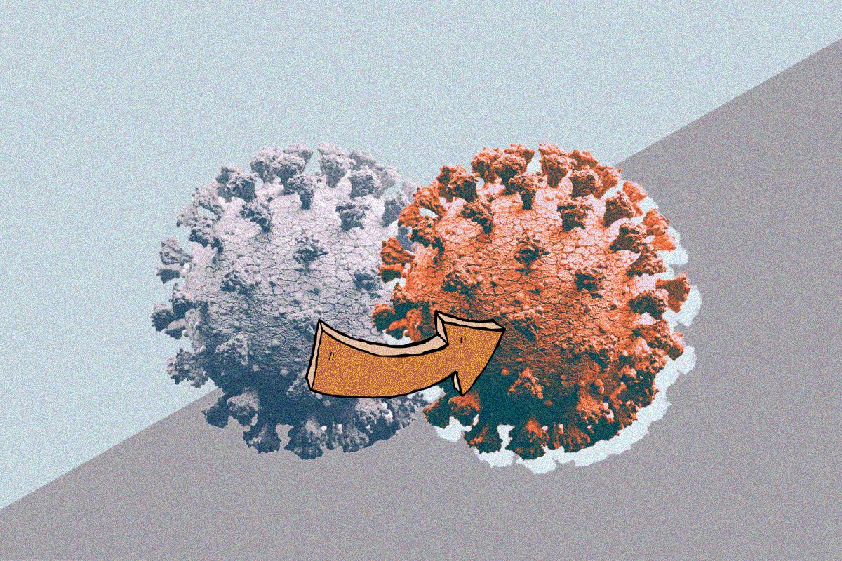 سلالة كورونا جديدة أمريكا