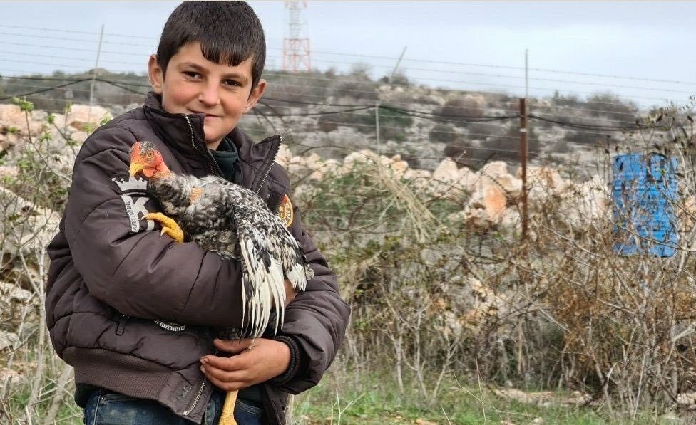 دجاجة حسين لبنان