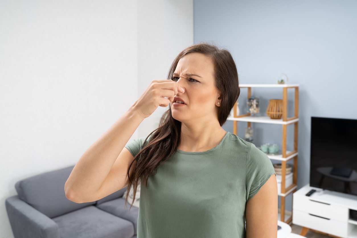 نقدم لكم نصائح للحفاظ على رائحة المنزل طيبة - iStock