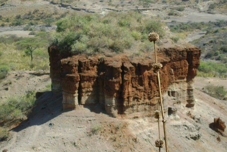 مكان البحث في تنزانيا / منصات التواصل