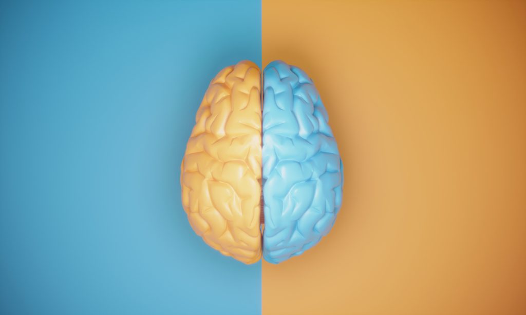 صحة دماغك