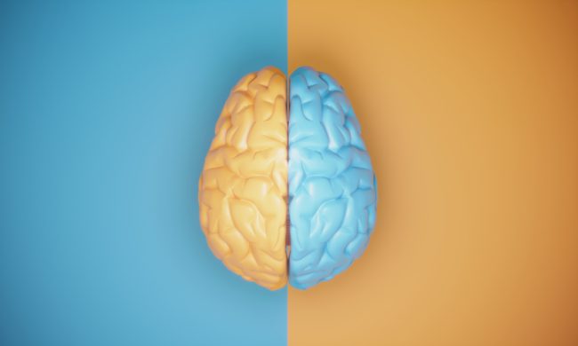 أنا طبيب مخ وأعصاب.. إليك 6 أسرار ستزيد من صحة دماغك وتمنحك ذاكرة قوية