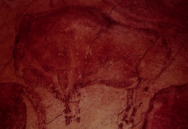 رُسمت قبل أكثر من 45 ألف عام.. علماء آثار يكتشفون أقدم رسم في العالم على جدران كهف