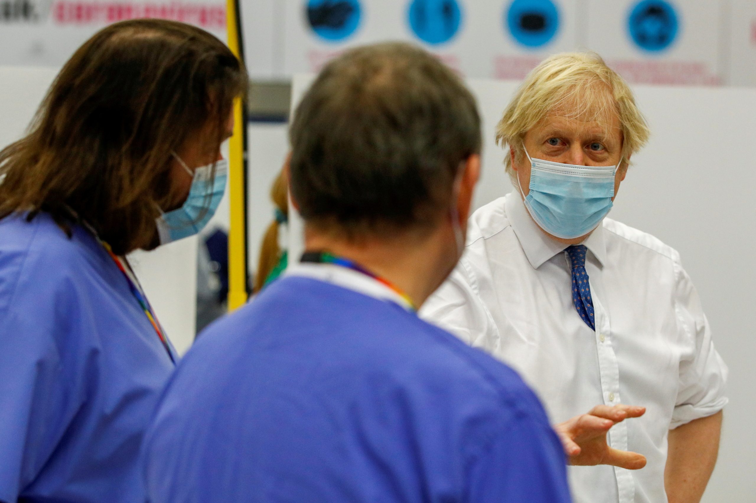 السلالة البريطانية الجديدة