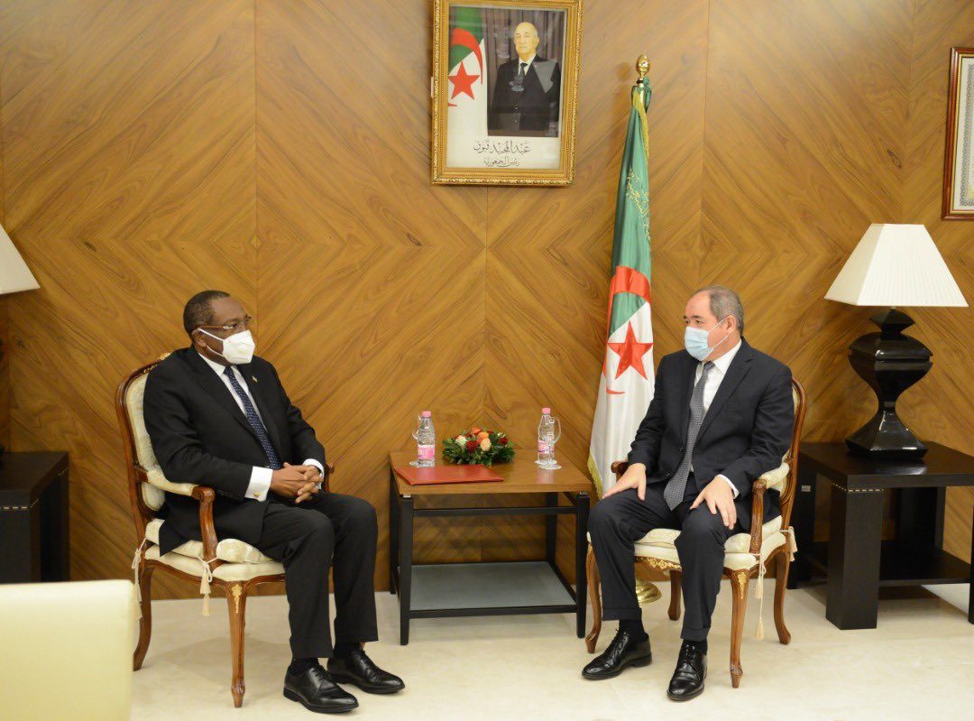 الدبلوماسية الجزائرية