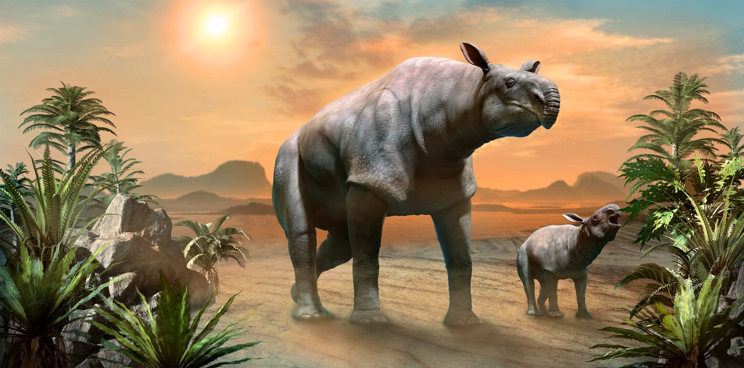 istock أسلاف الحيوانات