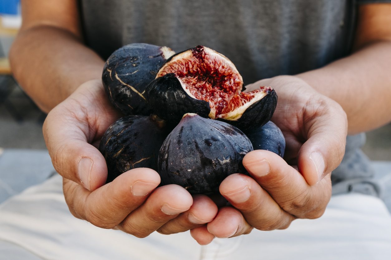 iStock/زراعة التين