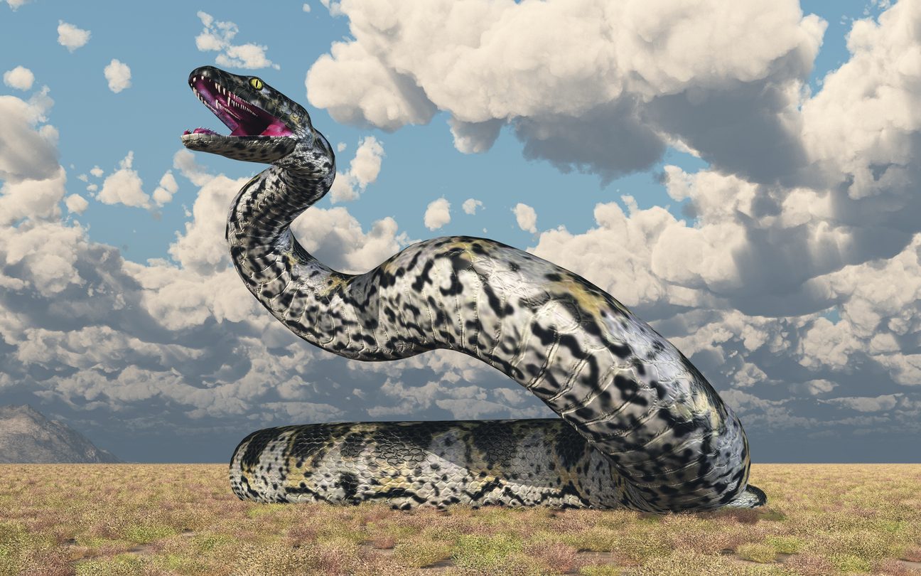 istock أسلاف الحيوانات