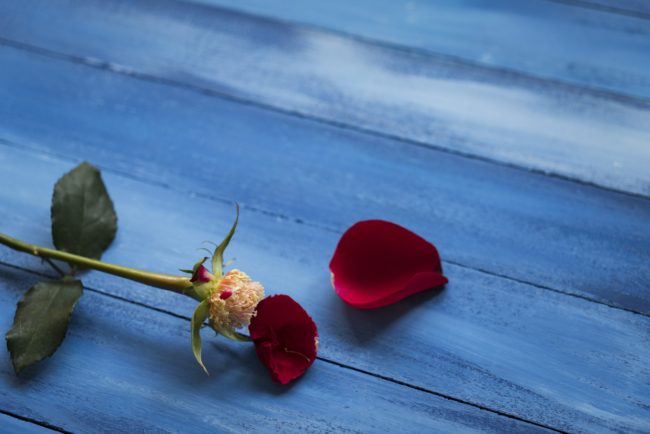 نَخر السرطان بروحك قبل جسدك.. رسالة رثاء إلى صديقي المصطفى