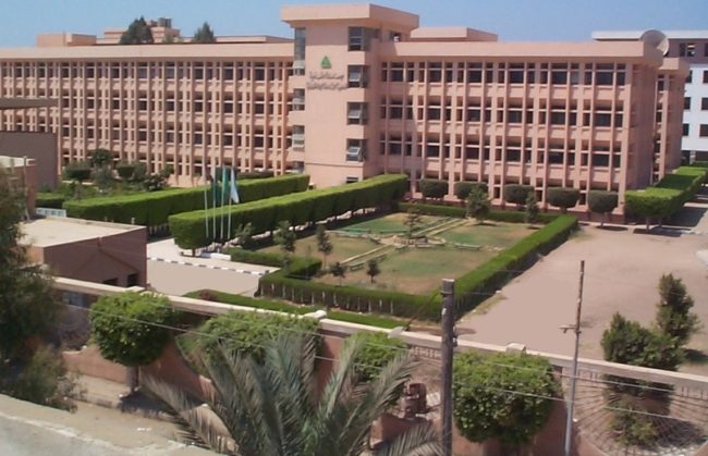 عبارة “القاضية ممكن” تتسبب بالتحقيق مع أكاديمي بمصر.. وضع سؤالاً بالامتحان أثار غضباً