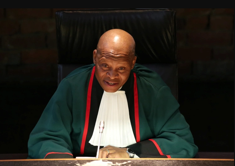 جنوب إفريقيا كبير القضاة فلسطين