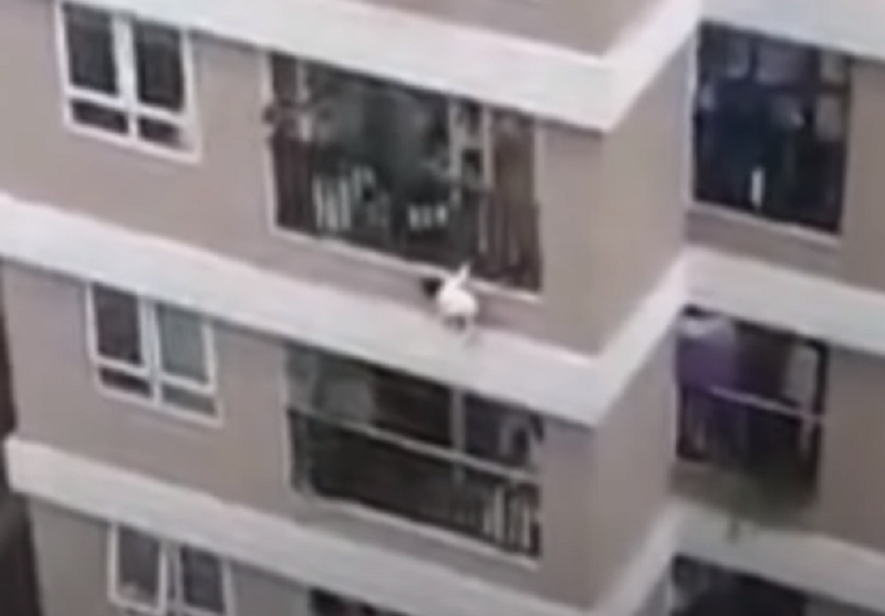 طفلة سقطت من الطابق الـ12