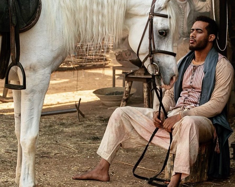 تويتر/ مسلسلات مصرية في رمضان 2021