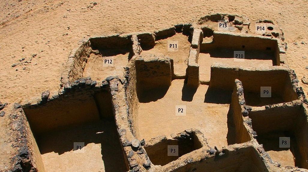 “مدينة الرهبان”.. اكتشاف بنايات أثرية منحوتة في الصخر بمصر منذ القرن الخامس الميلادي (صور)