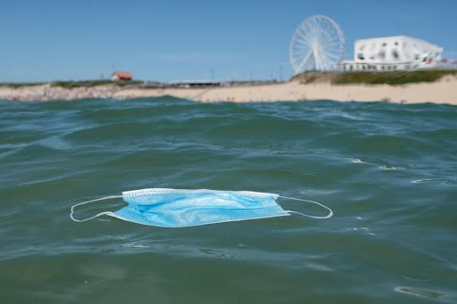 كورونا فيروس كورونا الحياة البرية