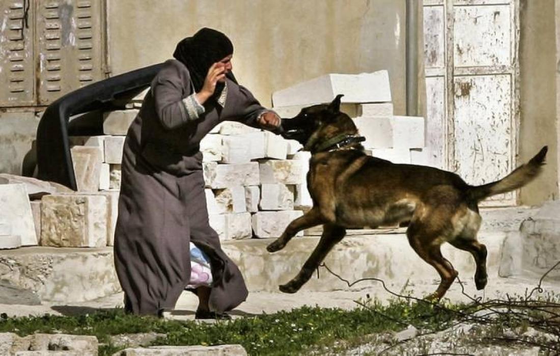 نصيحة قدمها ضابط إسرائيلي للجنود الذين يعملون تحت إمرته