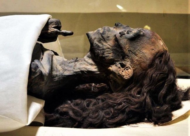 شعرها الأحمر حافظ على كثافته نحو 3 آلاف سنة.. تعرّف على الملكة تيي