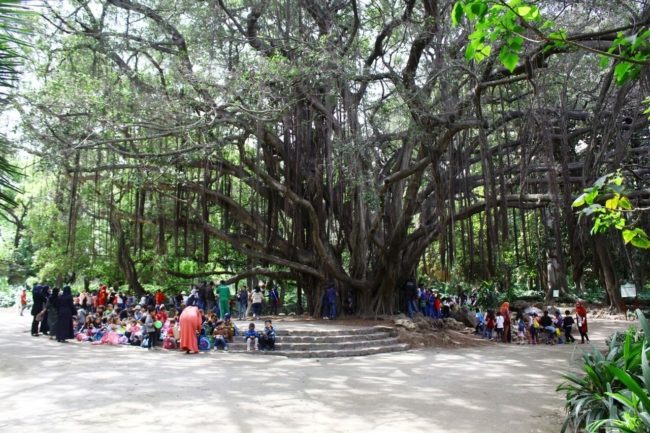 صوِّرت فيها أول نسخة لفيلم “طرزان” وجُلبت لها الأشجار من كل أنحاء العالم.. “حديقة التجارب” الرئة الطبيعية للعاصمة الجزائرية