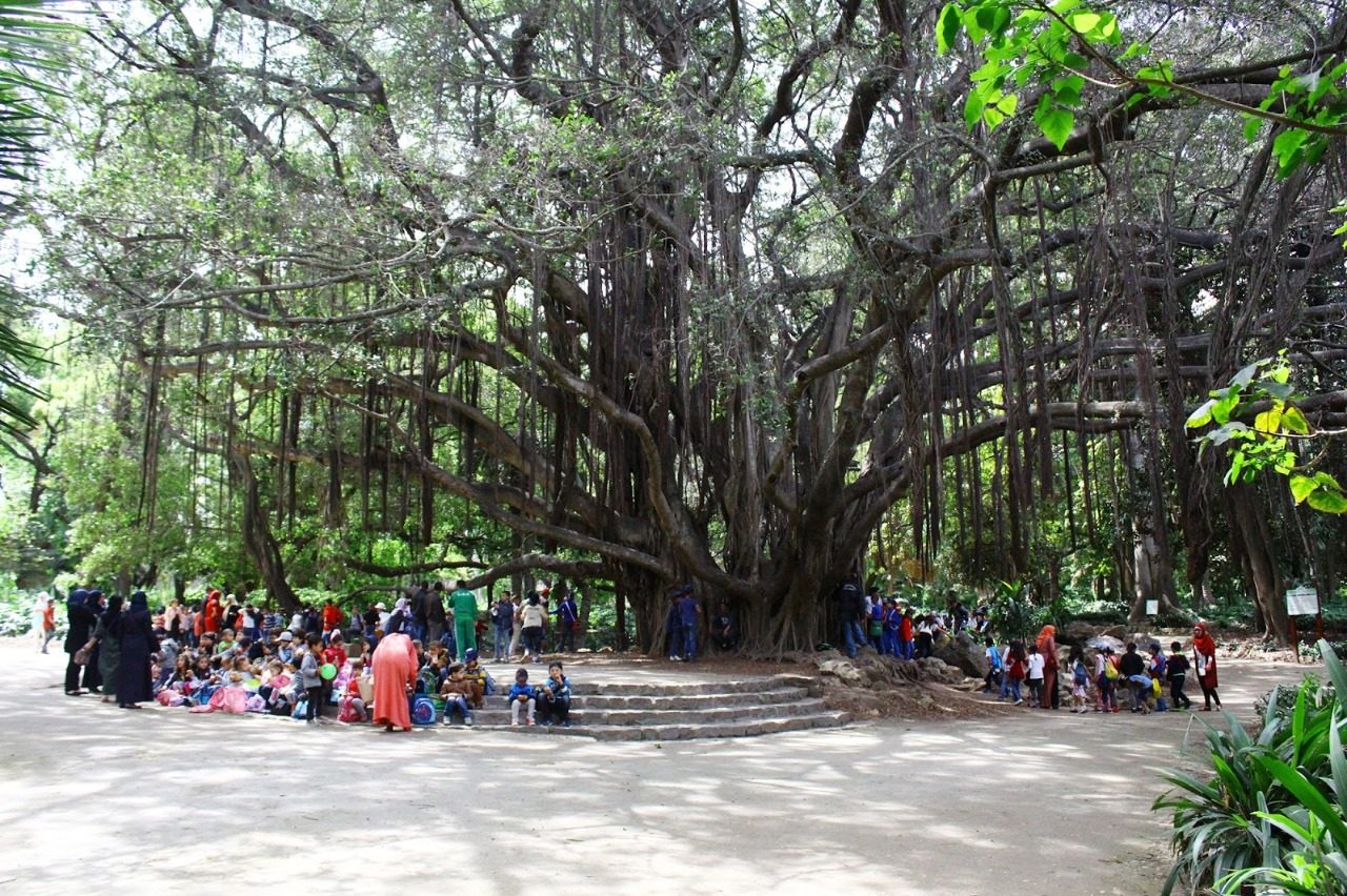 من بينهم جنود مصريون.. بريطانيا تعتذر عن عدم تكريم مئات الآلاف من قتلى الحرب العالمية الأولى