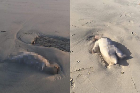 ليبيا هجرة غير شرعية