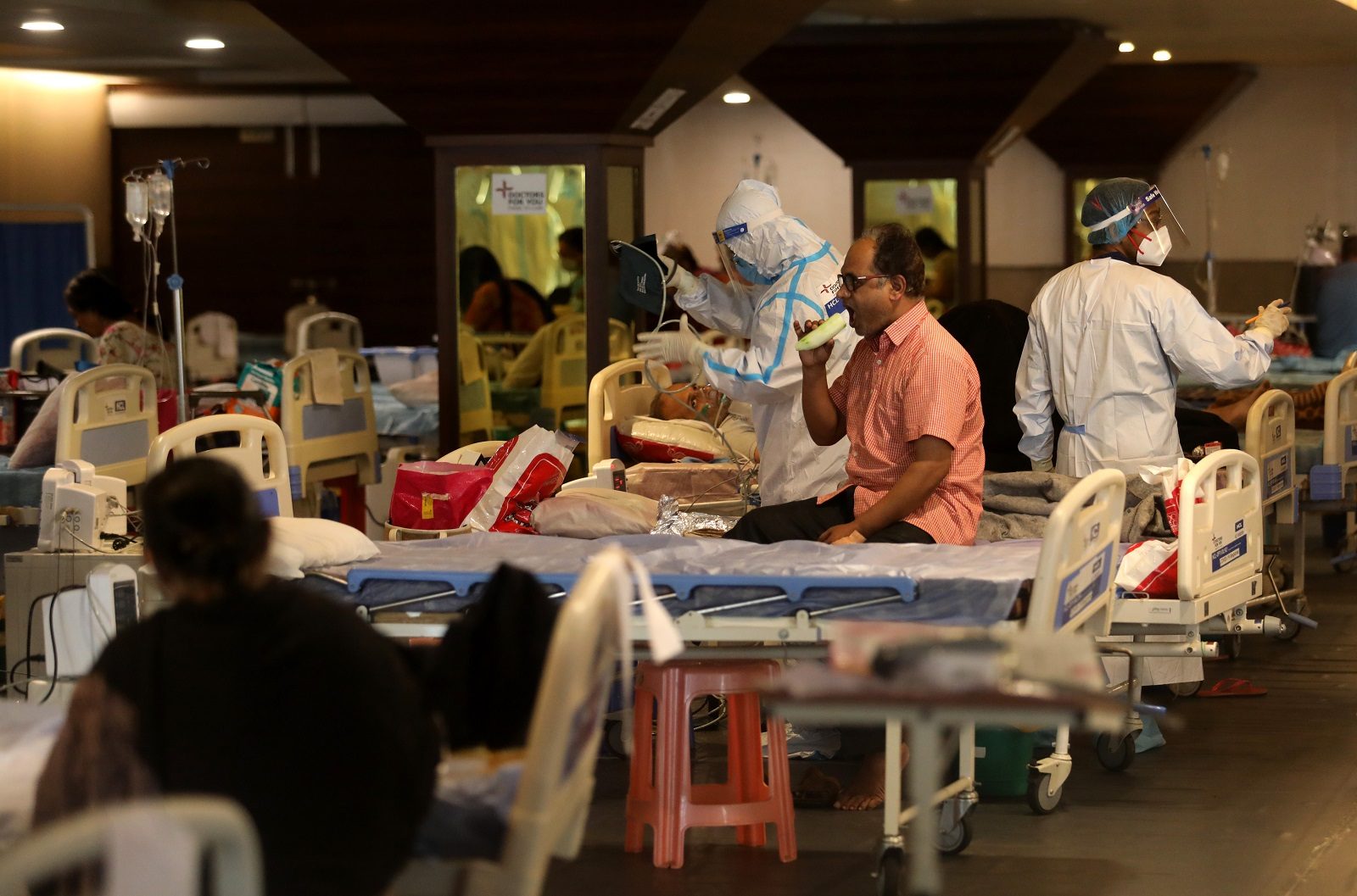 الفطر الأصفر