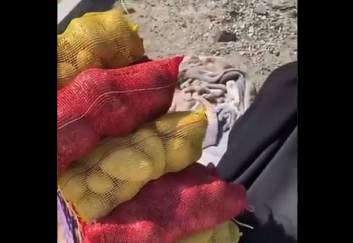 بائعة خضار السعودية