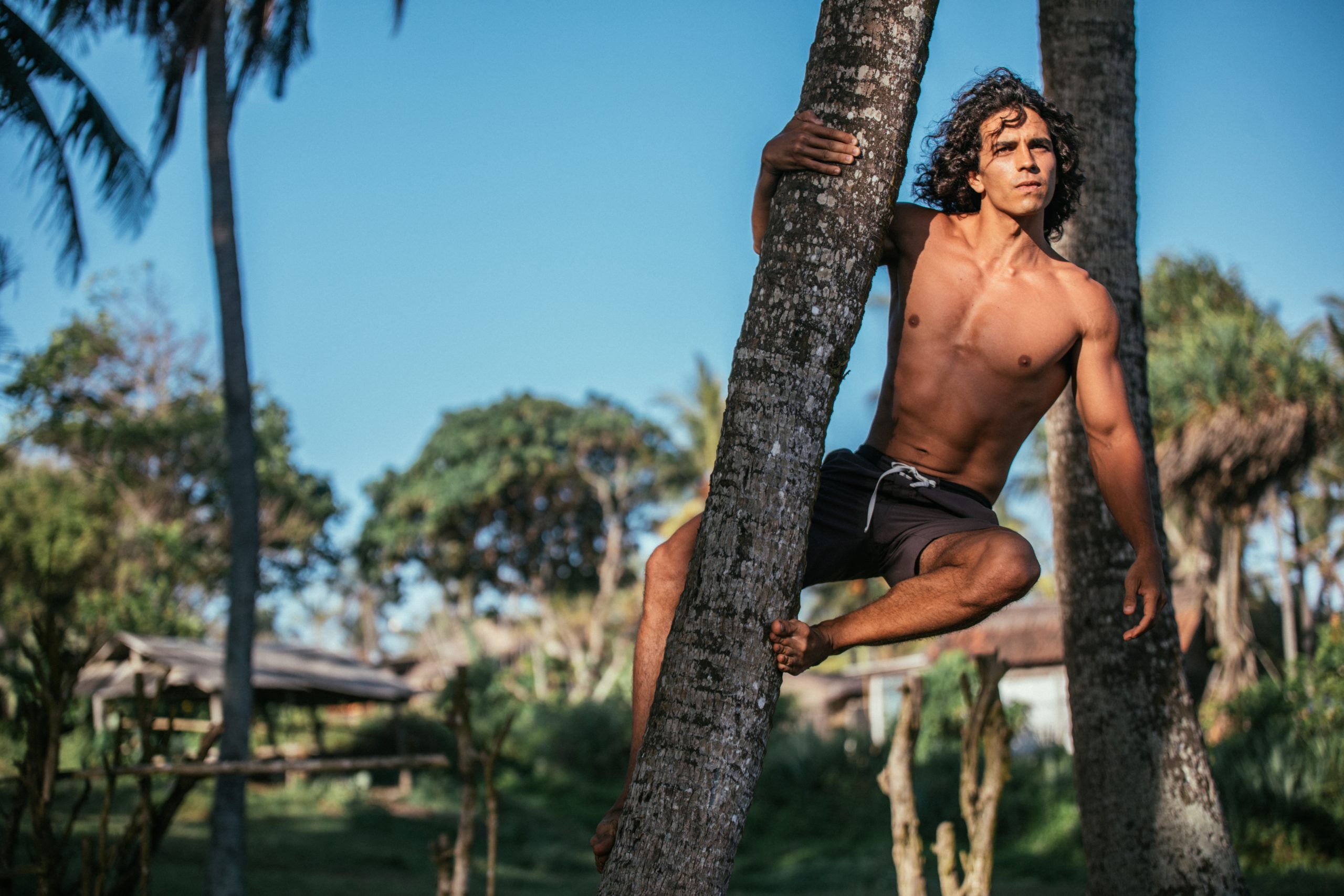 جوي لارا طرزان