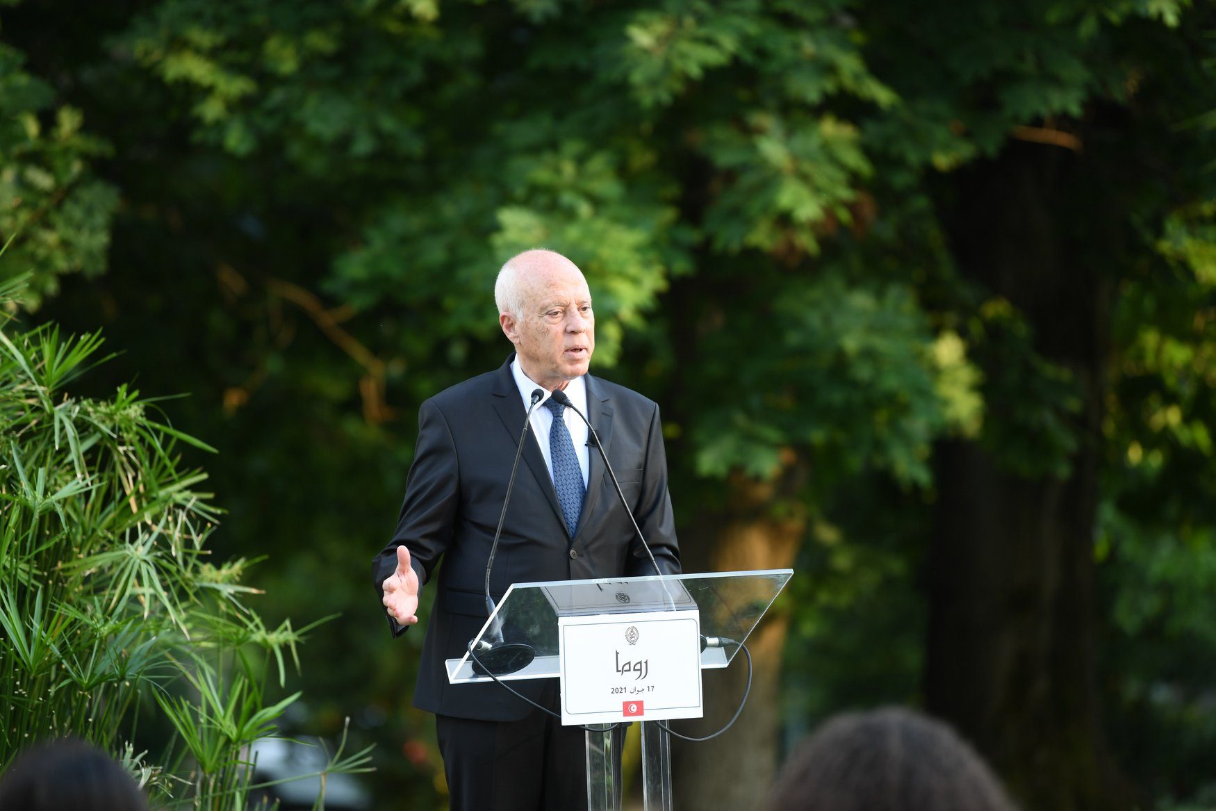 الأزمة السياسية في تونس