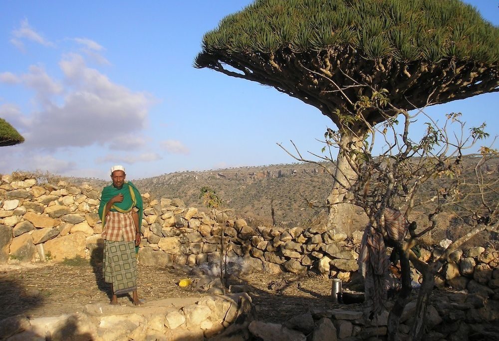 بعيداً عن الموانئ والمطارات.. ما خطورة استمرار هيمنة الإمارات على الجزر اليمنية على أرض الواقع؟