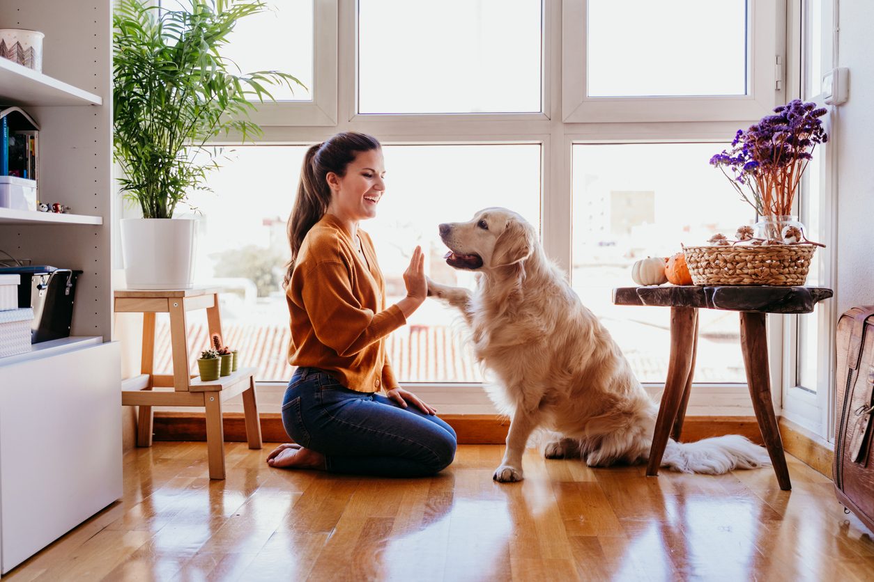 istock - أطعمة يجب ألّا تتناولها الحيوانات الأليفة
