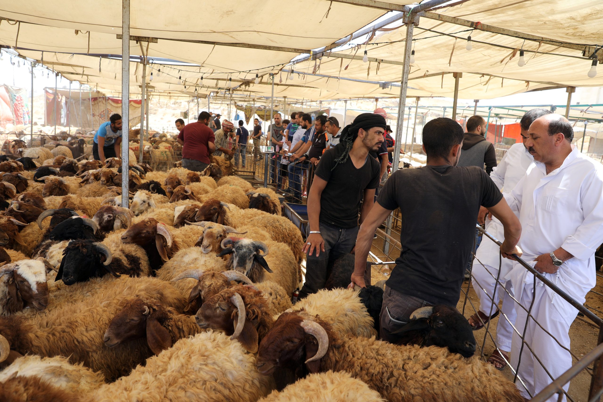 عيد الأضحى الأردن وفاء الخضرا