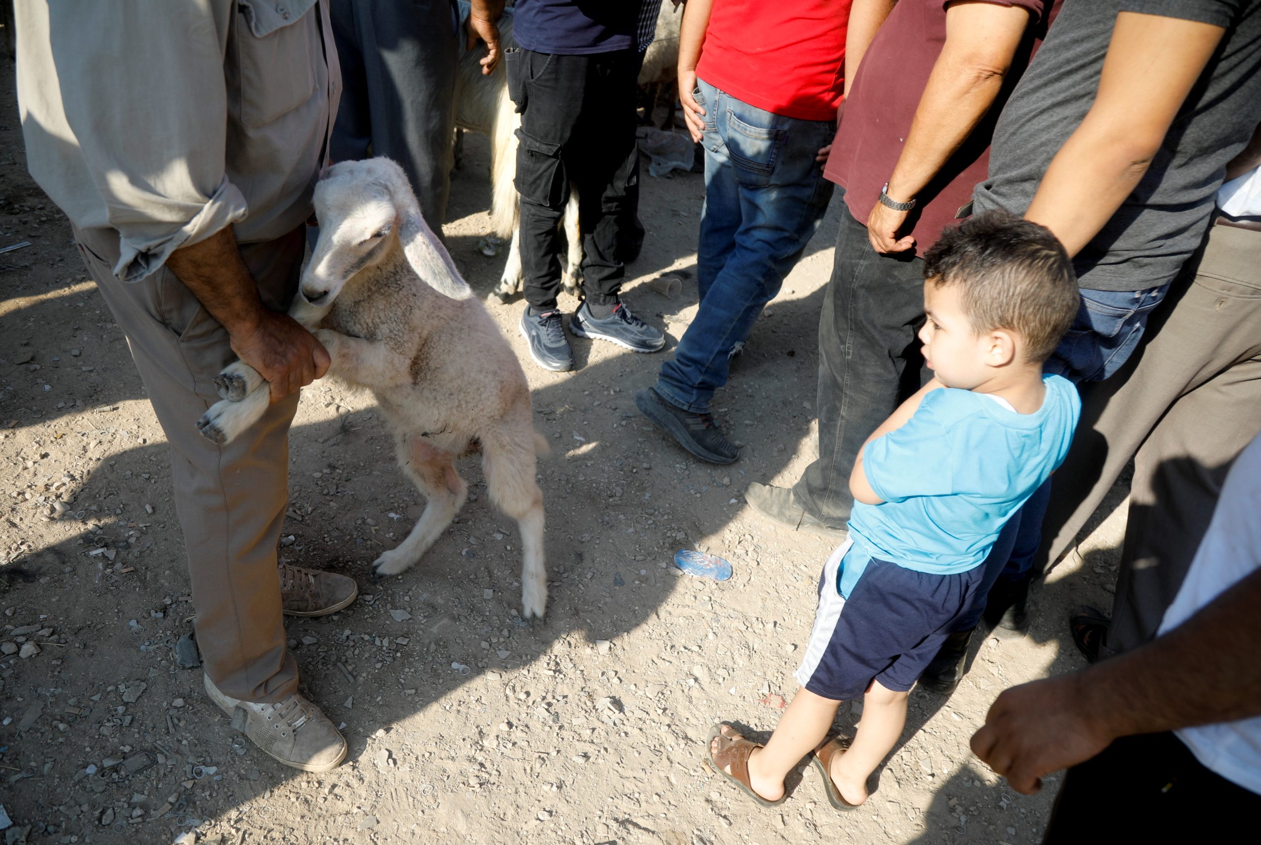 الغلطة الواحدة يومها قد تكلفك الكثير.. كيف تؤهل طفلك لذبح الأضحية؟