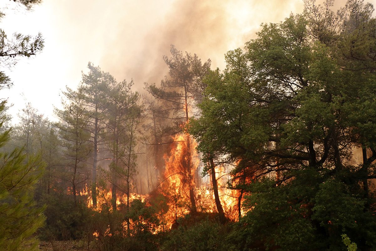 58 حريقاً مدمراً في 17 منطقة.. ما الذي يحصل في جنوب تركيا وهل النيران “مفتعلة”؟