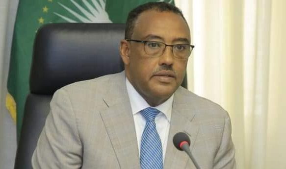وزير الخارجية الإثيوبي ديميكي ميكونين