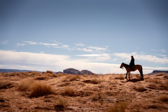 العزيز «سلمان»