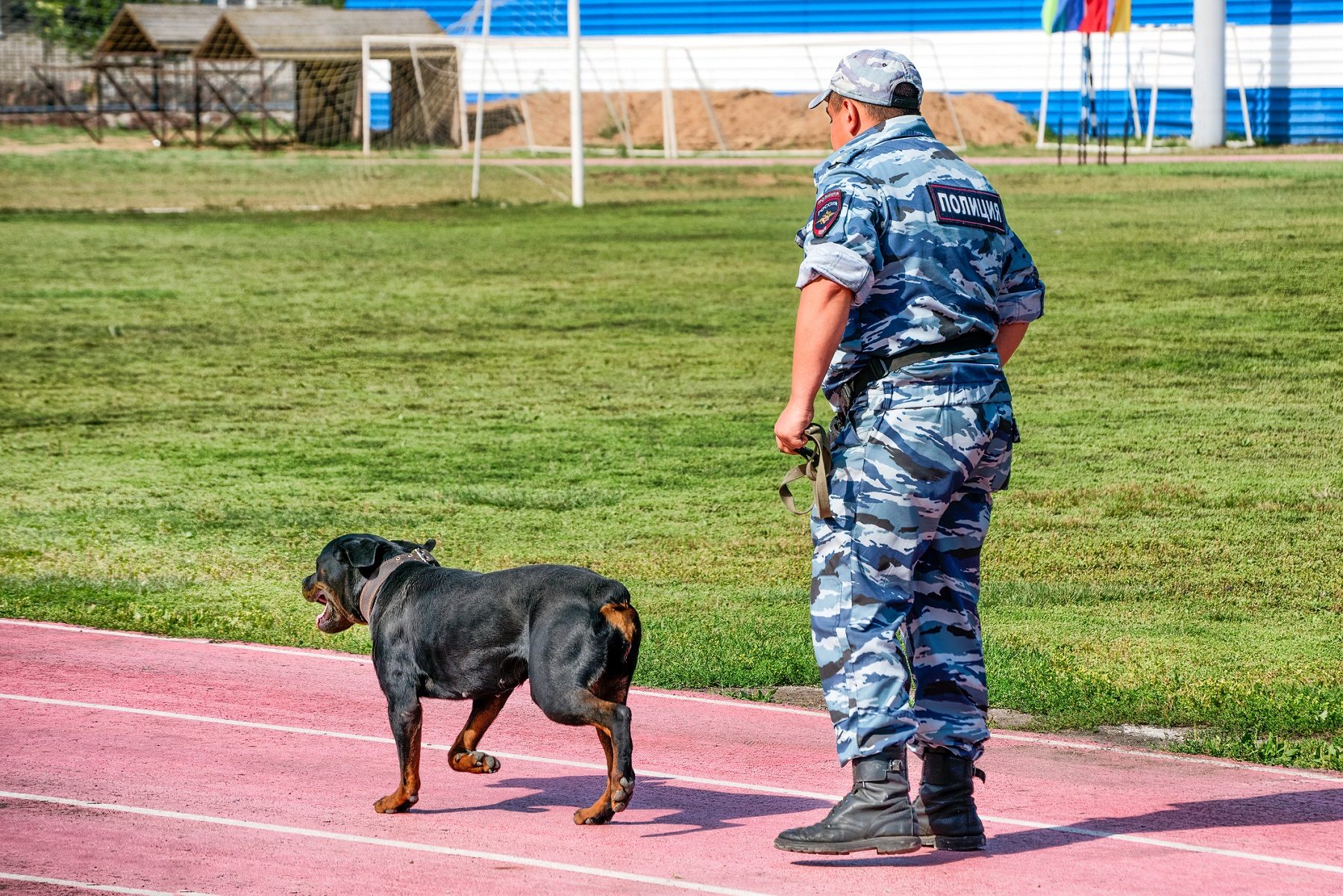 روسيا الجيش الروسي