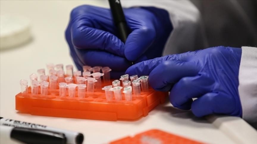 "الفيروس القردي B" تم عزله في الأصل عام 1932