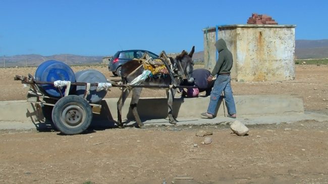 جفاف وعدم استثمار السنوات لإنهاء العطش.. الجزائر تستيقظ على أزمة مياه غير مسبوقة في تاريخ البلاد