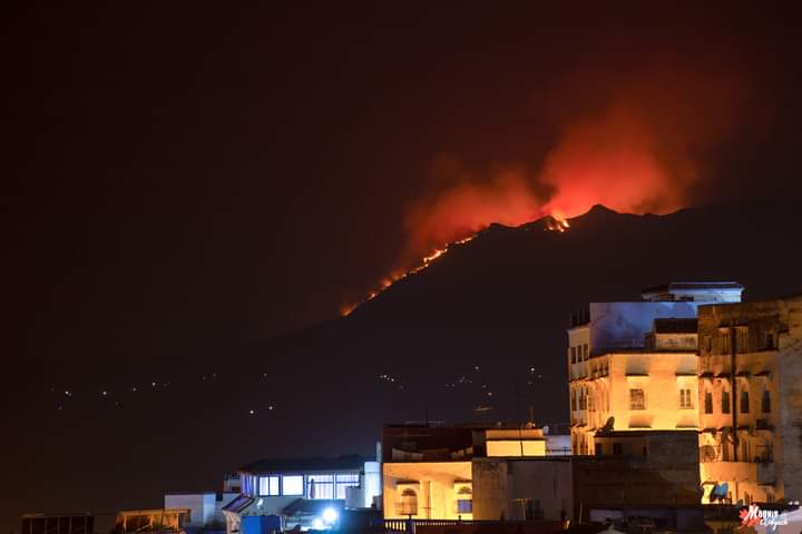 مئات الجنود و8 طائرات لإخماد حرائق مستعرة شمالي المغرب.. مخاوف من وصولها لتجمعات سكنية