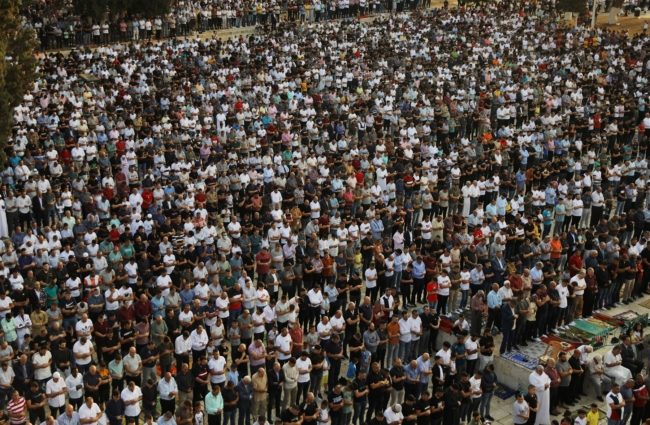 ترحماً على أرواح ضحايا حرائق الجزائر.. آلاف الفلسطينيين يؤدون صلاة الغائب في الأقصى ومساجد الضفة