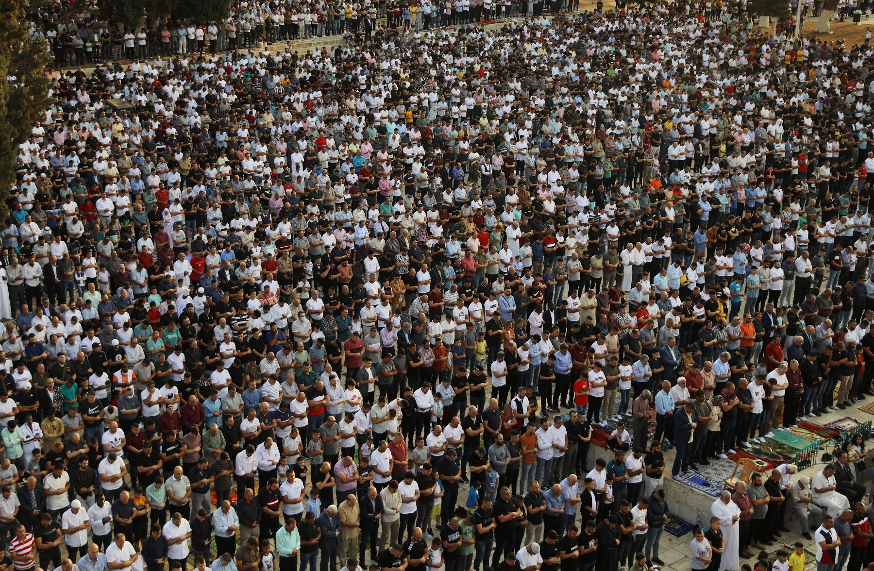 ضحايا حرائق الجزائر الأقصى