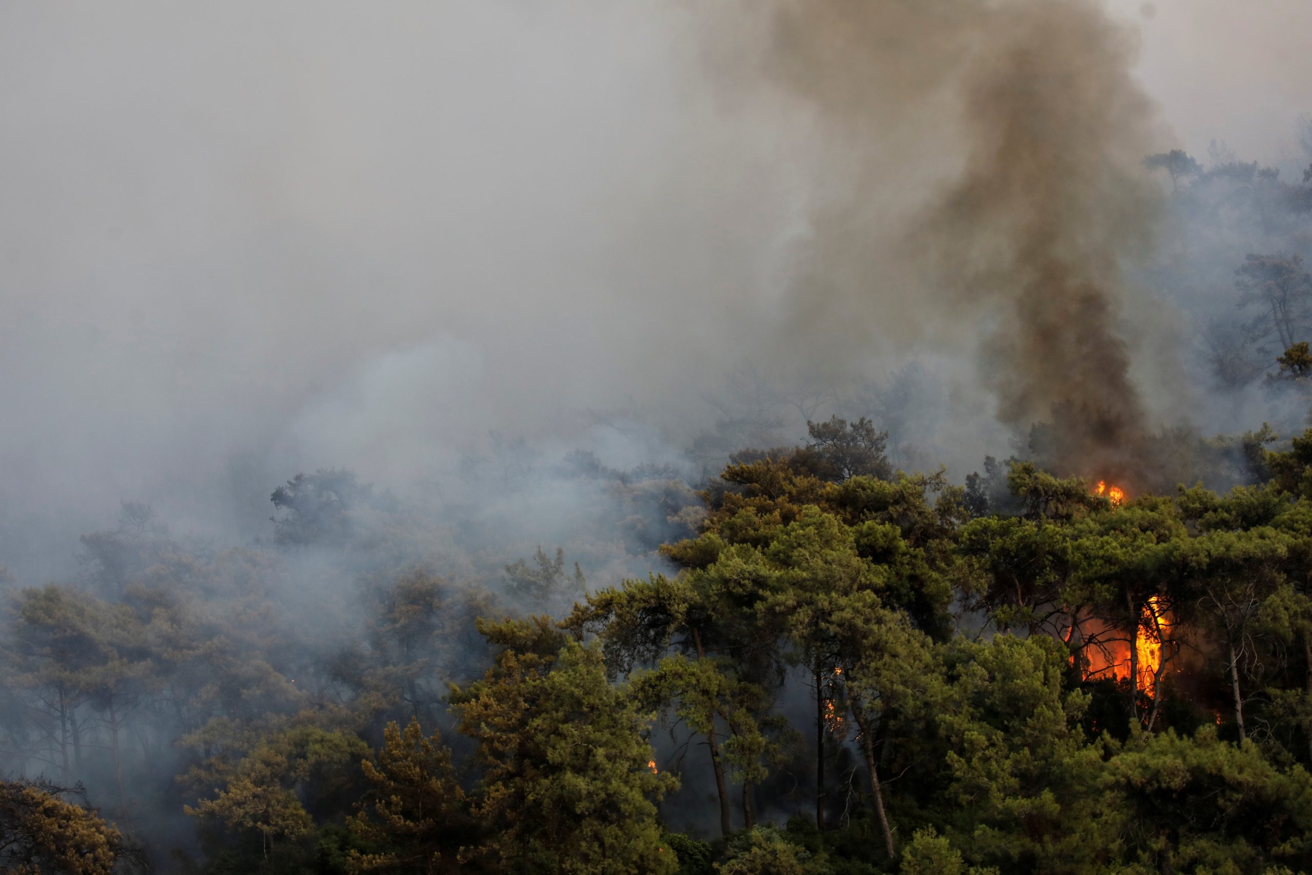 تركيا حرائق تركيا