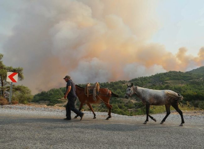 حرائق الغابات والفيضانات تثيران الذعر حول العالم.. هل فات أوان التحكم في التغير المناخي؟
