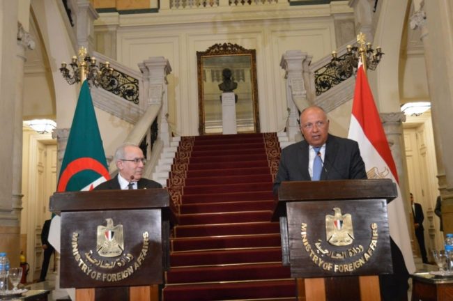 بعد تبني تبون المبادرة.. ما الذي يمكن أن تفعله الجزائر في أزمة سد النهضة وأوراق الضغط التي لديها؟