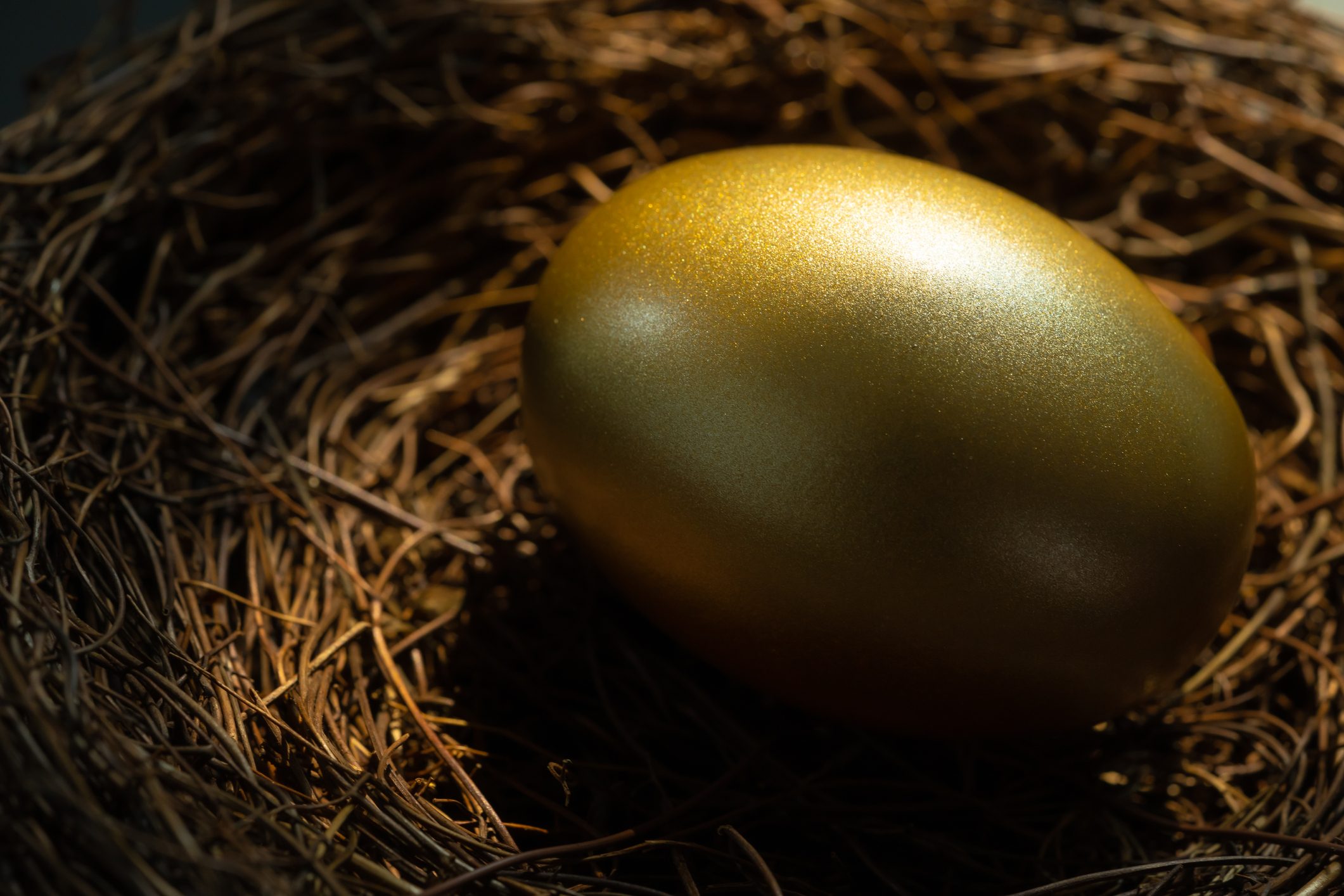 كتاب العادات السبع للناس الأكثر فعالية.. وحكاية البيضة الذهبية