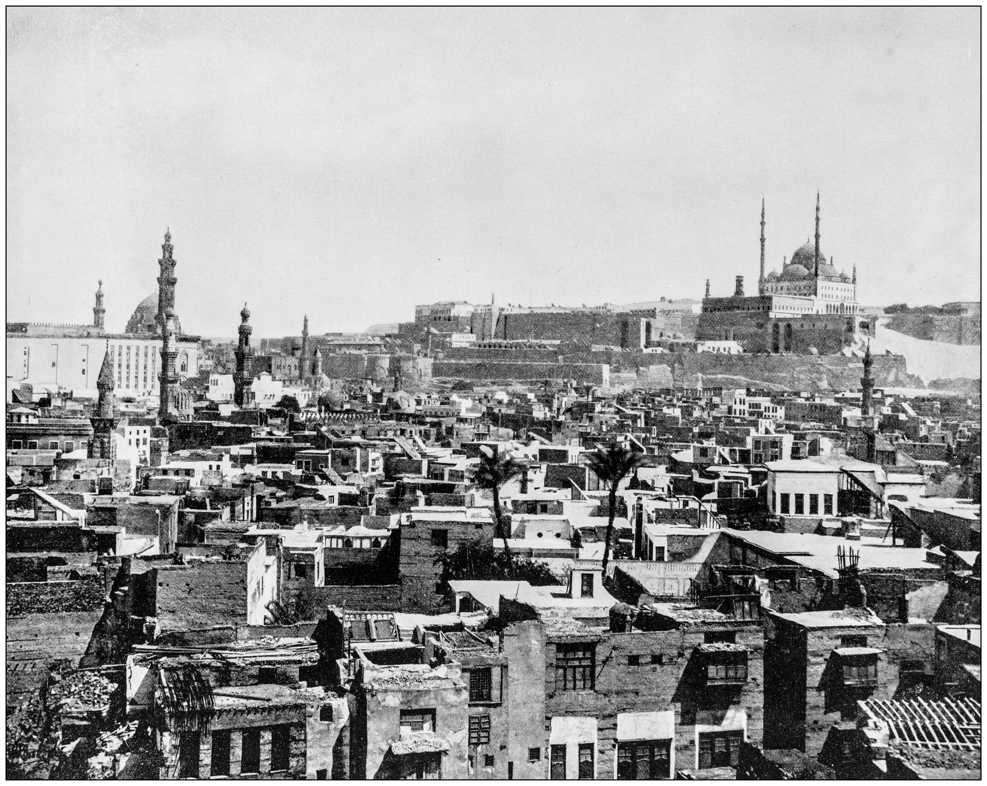 ليلة من ثورة 1919