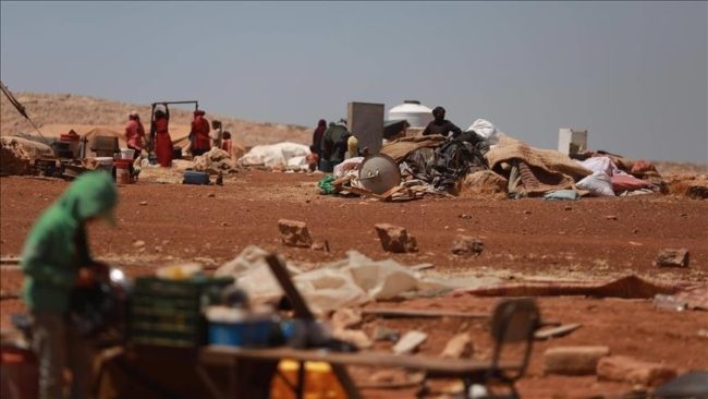 مستوطنون يجرِّفون أراضي فلسطينية تمهيداً لمصادرتها.. أعمالهم تتم ليلاً لبسط نفوذهم وإخفاء الجريمة