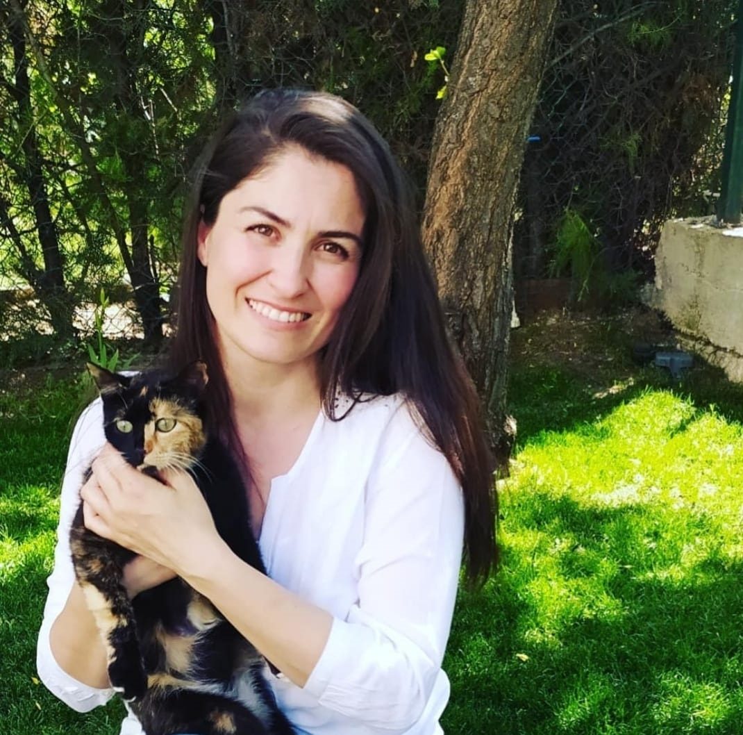 تركيا التبرع بالأعضاء