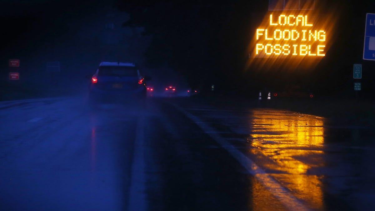 الدلافين والتماسيح تتجول بين المنازل.. مشاهد مخيفة خلّفها إعصار “إيدا” ونيويورك تعلن الطوارئ (فيديو)