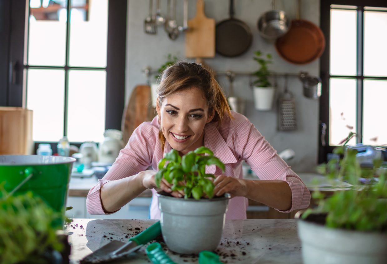 هل تتكلم النباتات؟ ISTOCK